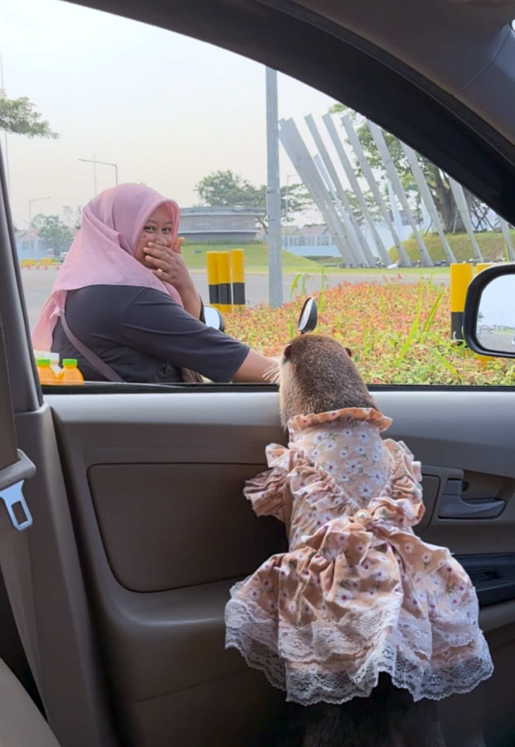 Degen the otter in a layered lace gown looking out at a smiling woman in a pink hijab